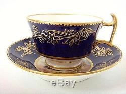 Spode Porcelain Very Rare Cup & Saucer Painted With Still Life Shells C1810