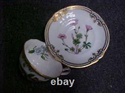 Spode Stafford Flowers England Cup & Saucer 1st Quality NEW MINT
