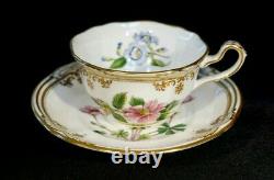 Stunning Spode Stafford Flowers England Cup And Saucer