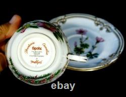 Stunning Spode Stafford Flowers England Cup And Saucer