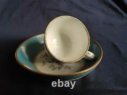 Stunning antique Sevres porcelain cup and saucer A/F