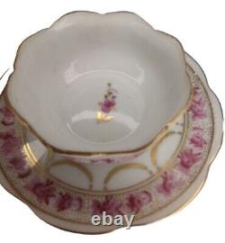 Tea Cup In Saucer European Porcelain Gold Trim Delicate Hand Painted Hallmarked