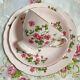 Tuscan Tea Cup & Saucer Porcelain With Cake Dish England Tableware 1940s Antique